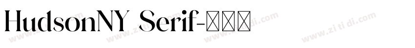 HudsonNY Serif字体转换